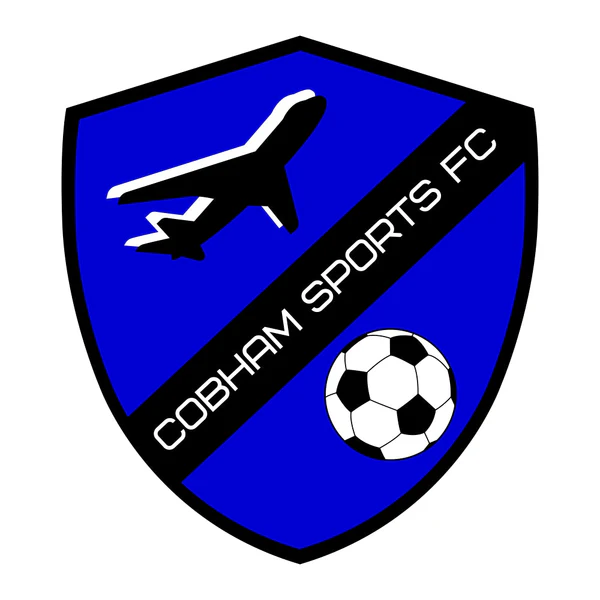 This is the Cobham Sports FC logo on Pyramid Football.