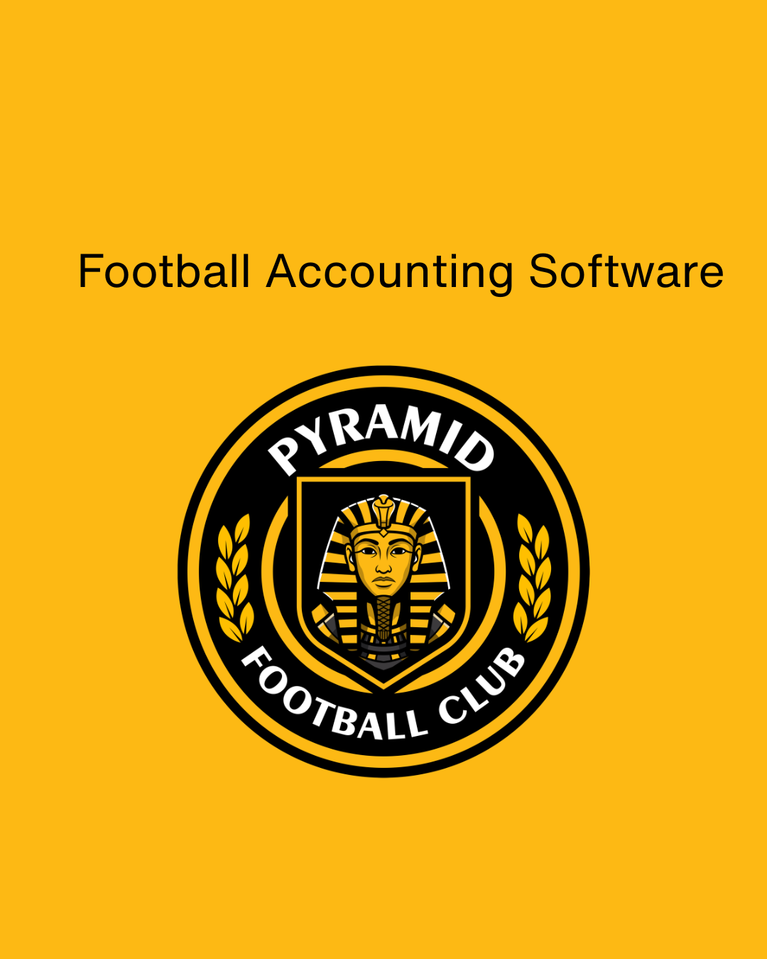 Football Accounting Software to Streamline Your Club’s Finances